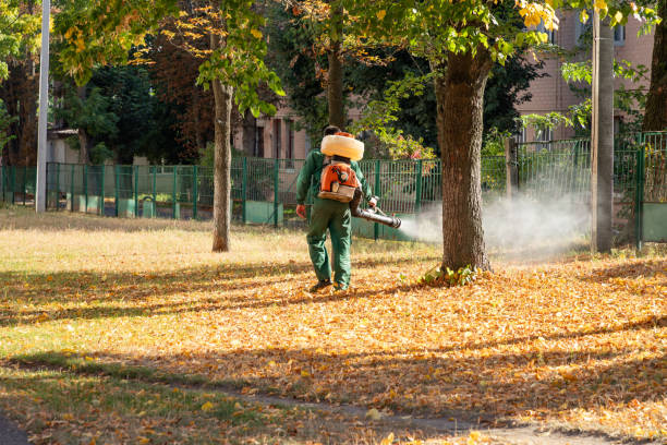 Best Best Pest Control Companies  in Joshua, TX