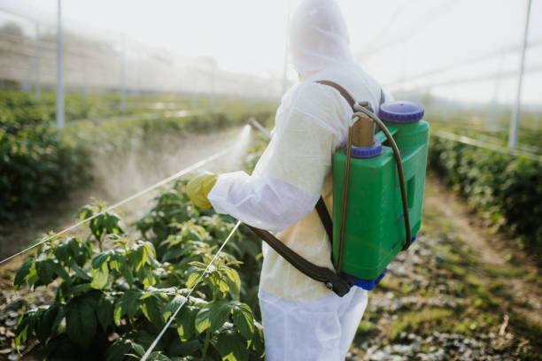 Best Pest Removal Services  in Joshua, TX
